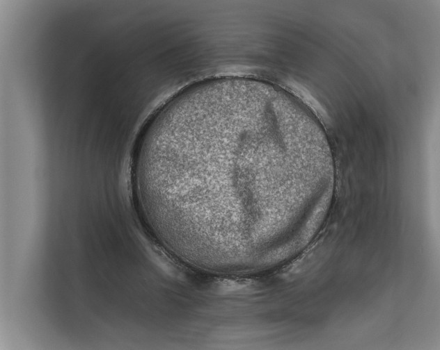 X0000112400346200909041340