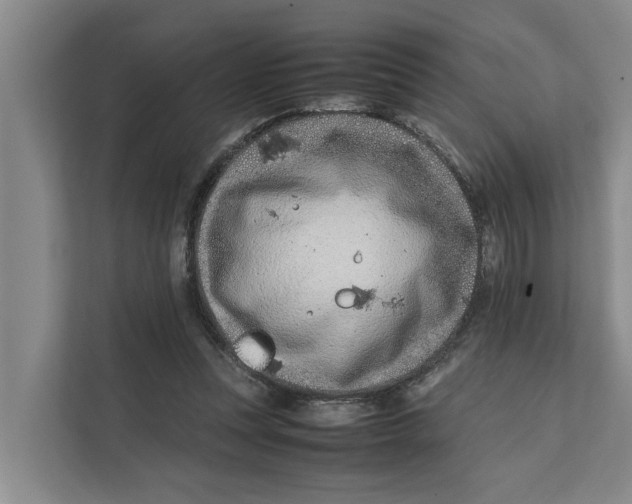 X0000112400351200909041340