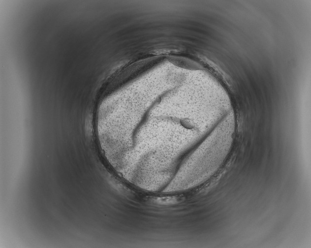 X0000112400353200909041340
