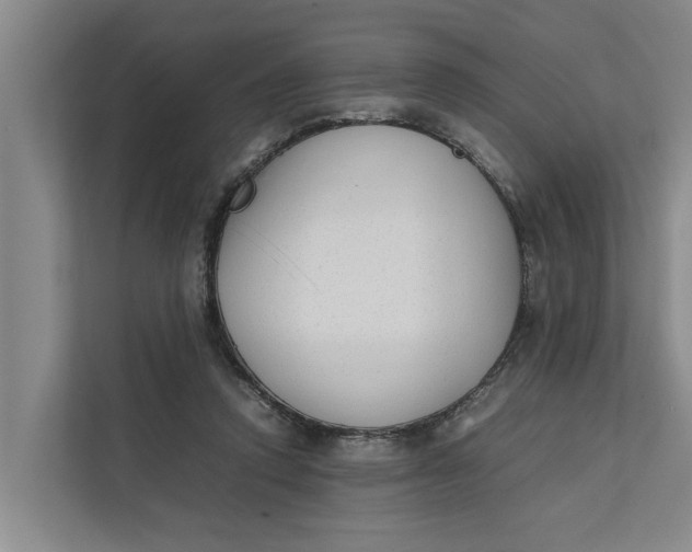 X0000112400354200909041340