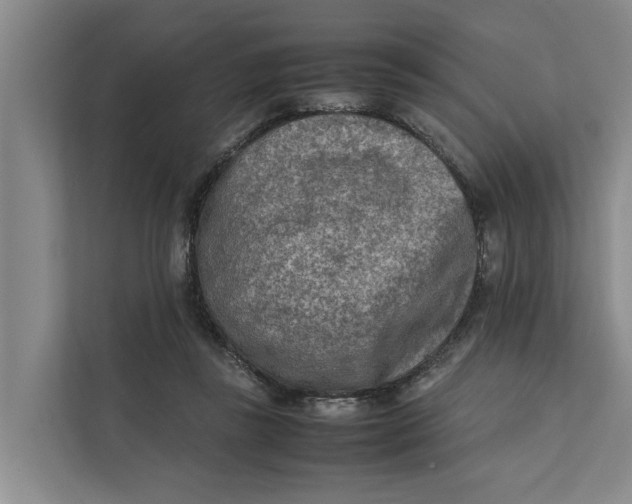 X0000112400355200909041340