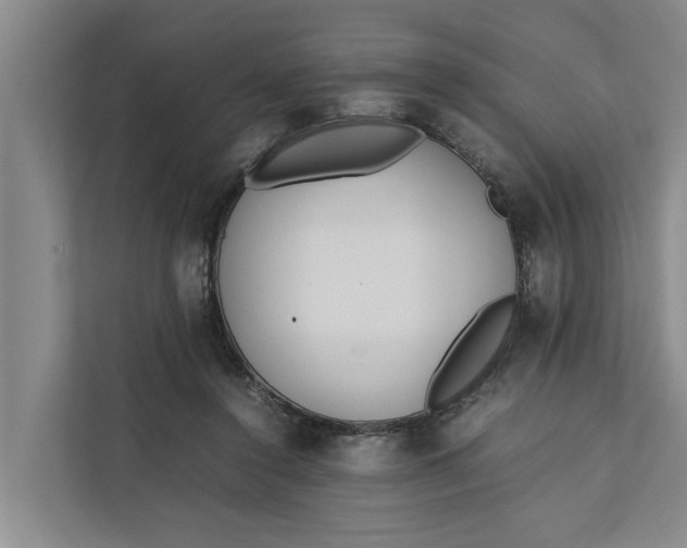 X0000112400356200909041341