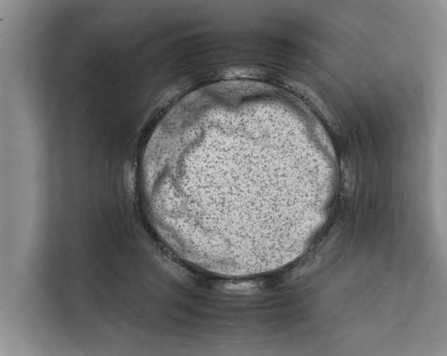 X0000112400357200909041341