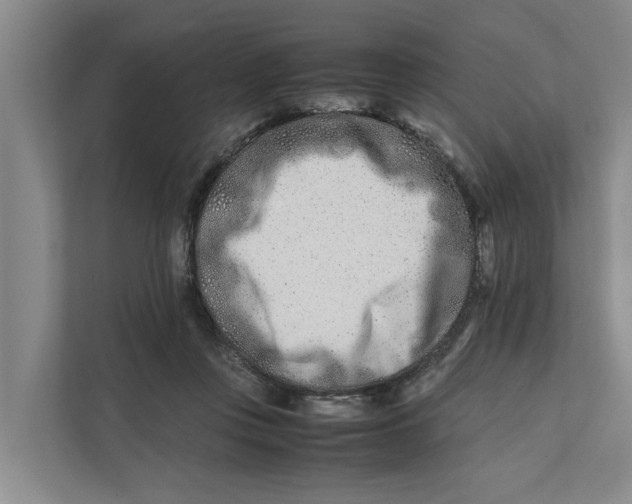 X0000112400359200909041341