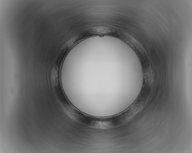 X0000112400360200909041341