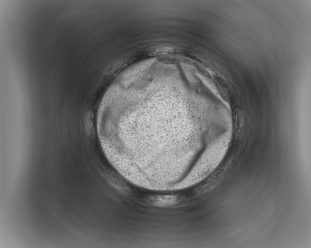 X0000112400361200909041341
