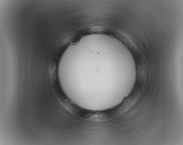 X0000112400364200909041341