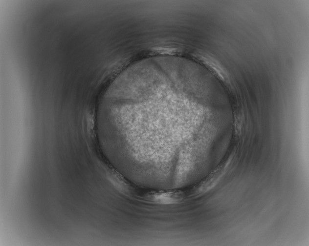 X0000112400365200909041341