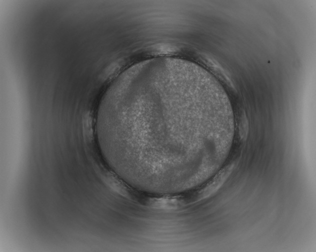X0000112400366200909041341