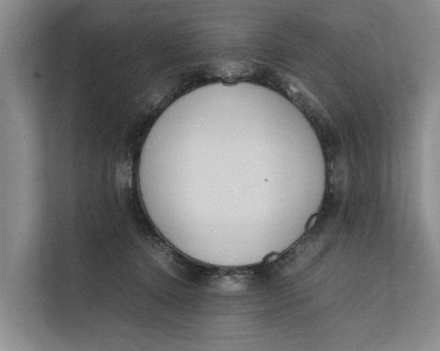 X0000112400368200909041341