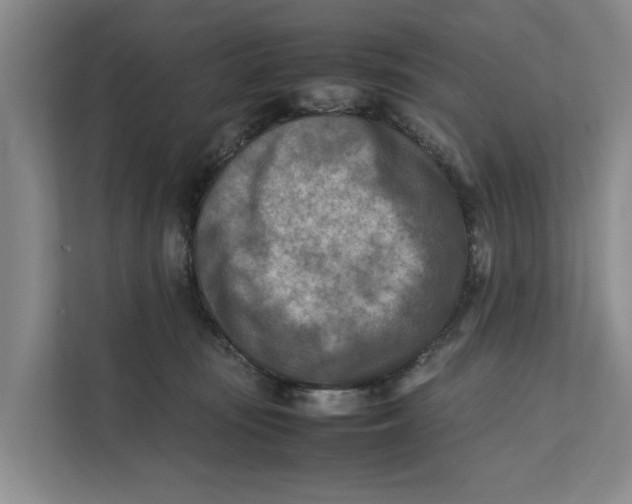 X0000112400371200909041341