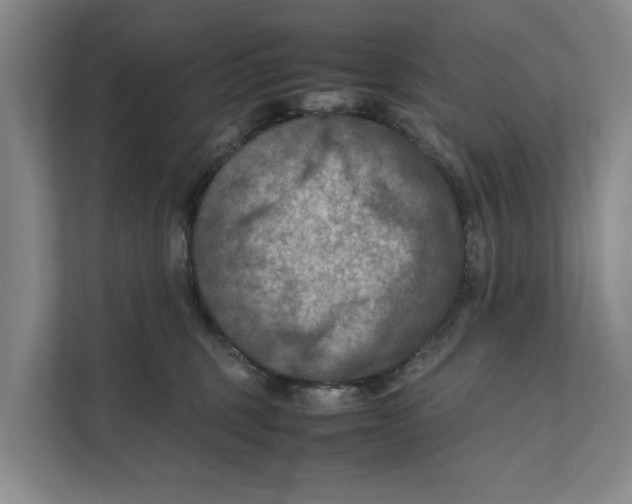 X0000112400375200909041341