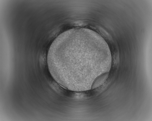 X0000112400376200909041341