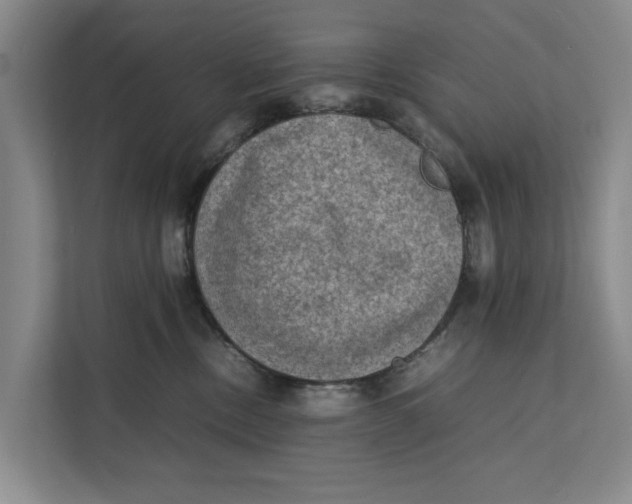 X0000112400378200909041341