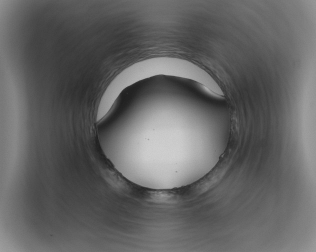 X0000112400380200909041341