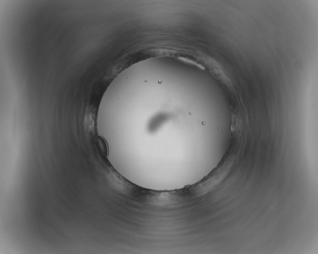 X0000112400382200909041341