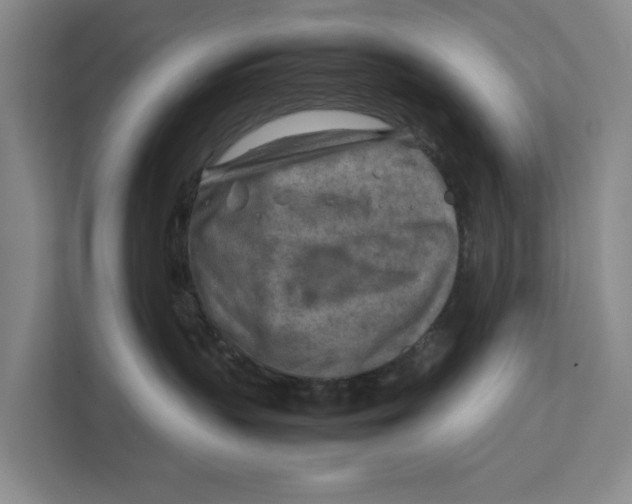 X0000112400383200909041341