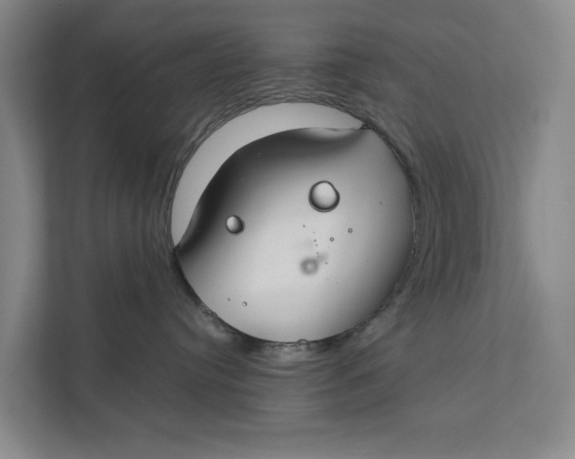 X0000112400384200909041341