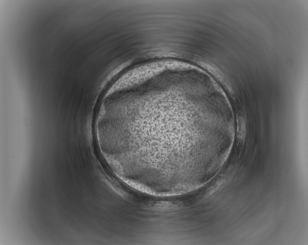 X0000112400390200909041340