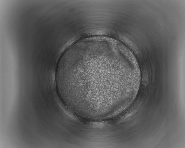X0000112400394200909041340