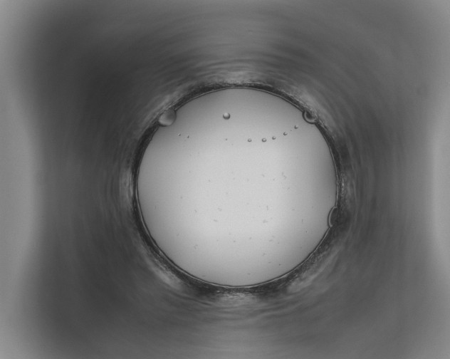 X0000112400397200909041340