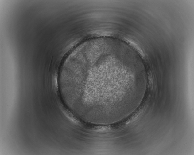 X0000112400398200909041340