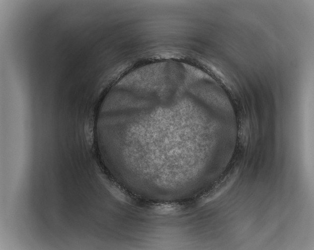 X0000112400402200909041340