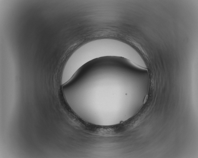 X0000112400403200909041340