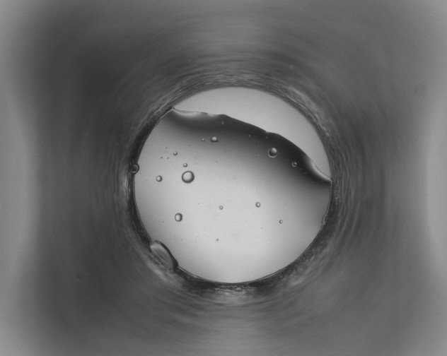 X0000112400405200909041340