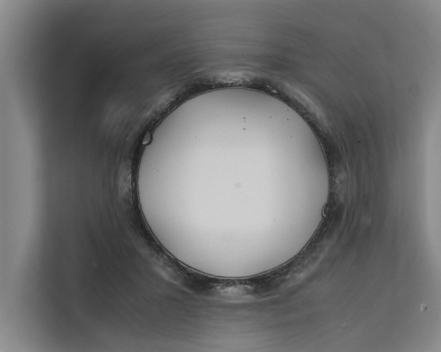 X0000112400407200909041340