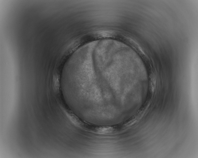 X0000112400410200909041340