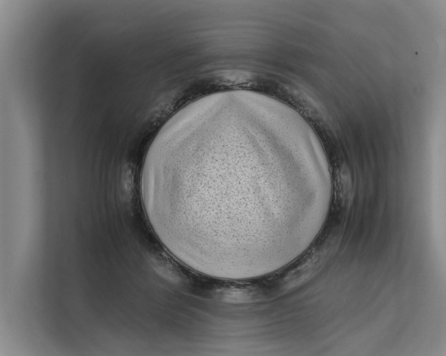 X0000112400412200909041340