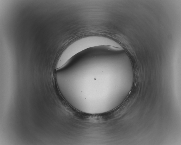 X0000112400415200909041340
