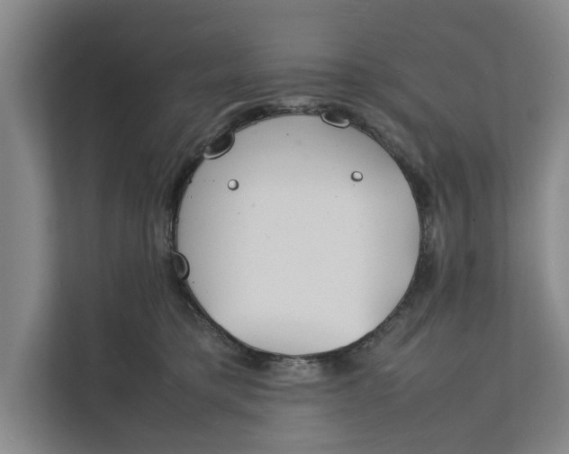X0000112400421200909041340