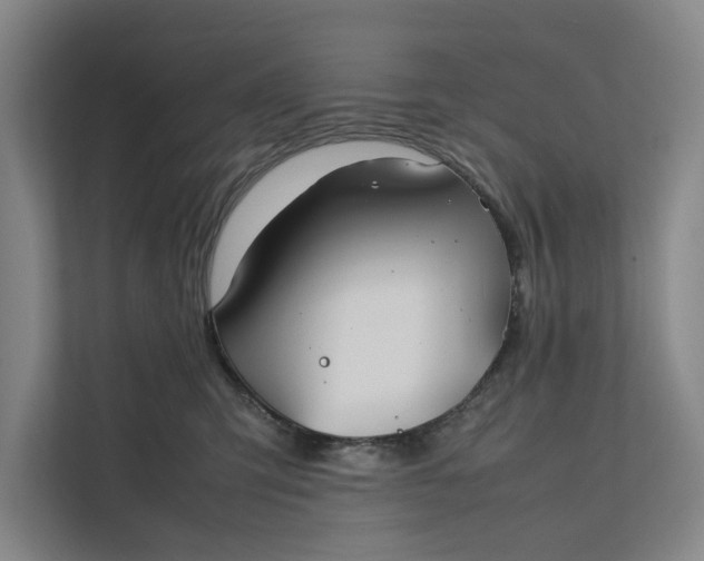 X0000112400423200909041340