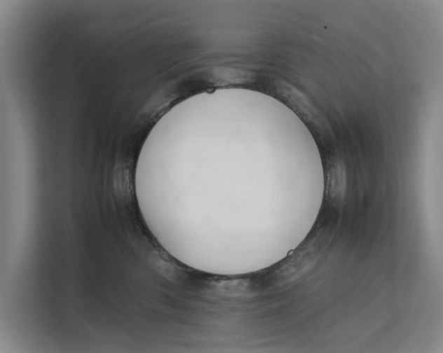 X0000112400426200909041340