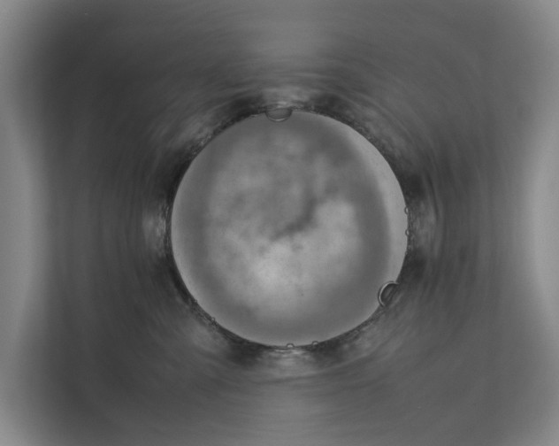 X0000112400427200909041340