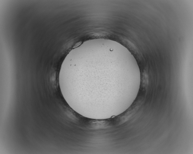 X0000112400428200909041340