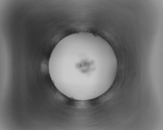 X0000112400432200909041340