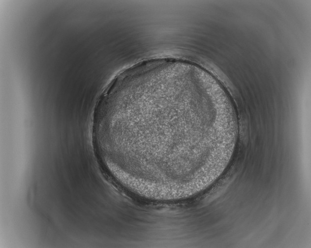 X0000112400434200909041339