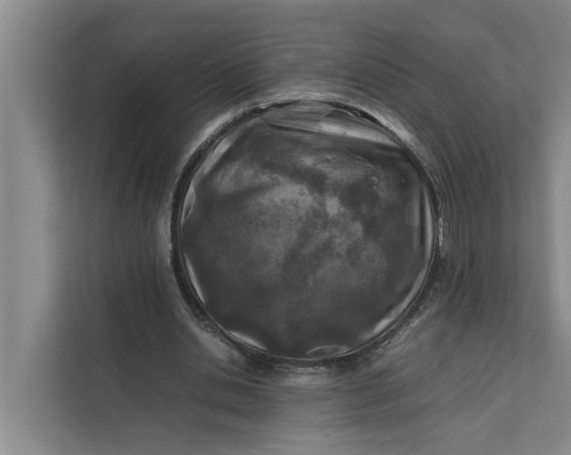X0000112400438200909041339