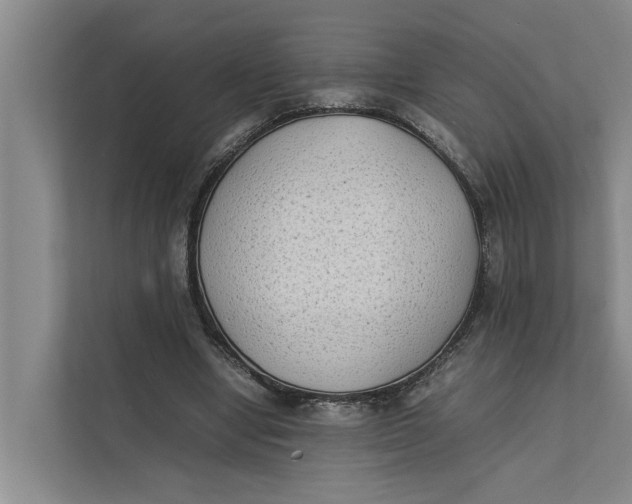 X0000112400442200909041339