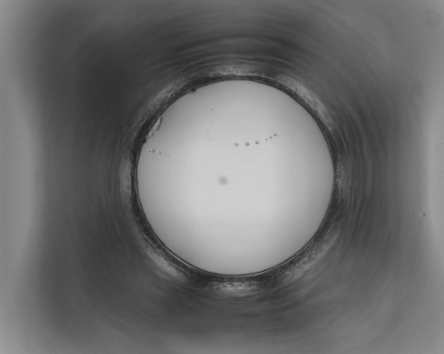 X0000112400445200909041339