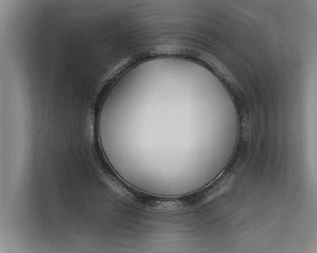 X0000112400446200909041339