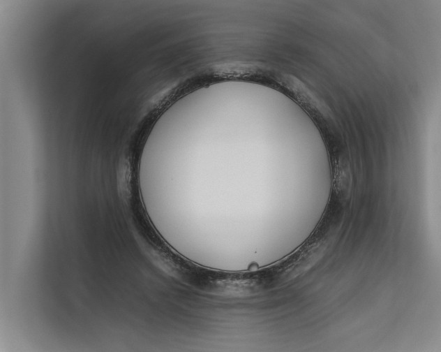 X0000112400448200909041339