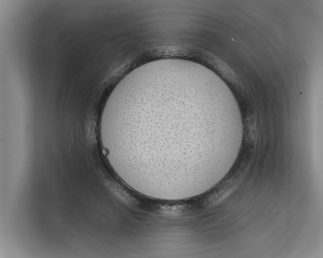 X0000112400450200909041339