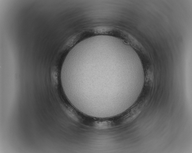 X0000112400452200909041339