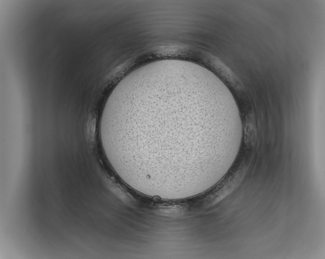 X0000112400454200909041339