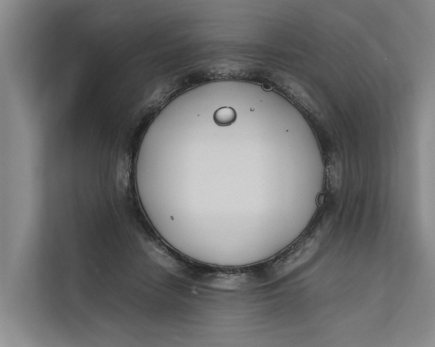 X0000112400458200909041339
