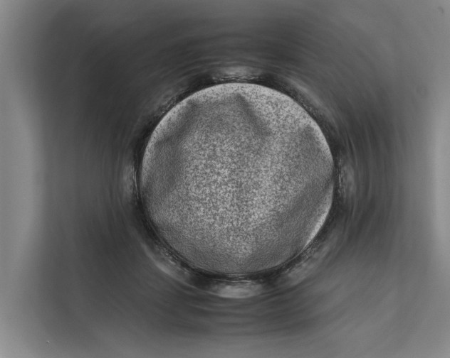 X0000112400459200909041339